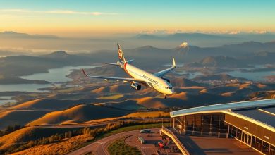 cheap airline tickets to New Zealand